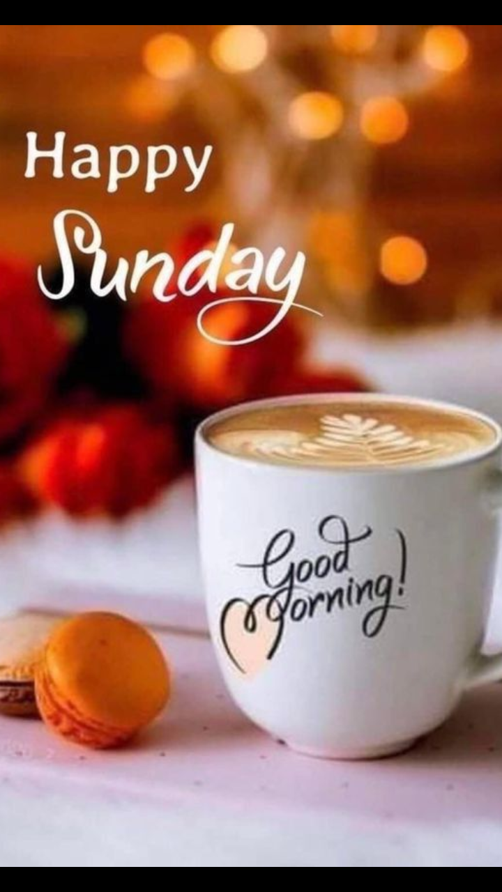 Collection Of Over High Quality Good Morning Happy Sunday Hd Images
