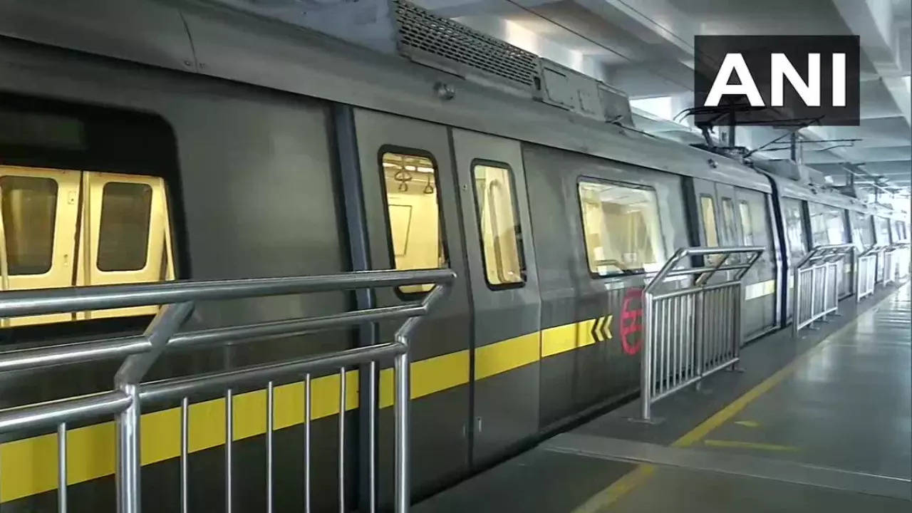 Delhi Metro Blue Line Services To Be Hit On Sunday No Direct Train