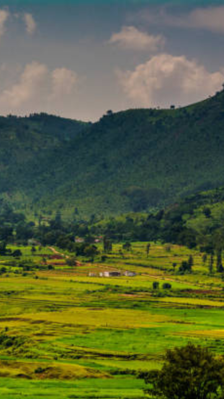 9 Gorgeous Places To Visit In Araku Valley | by Winds of Travel | Medium