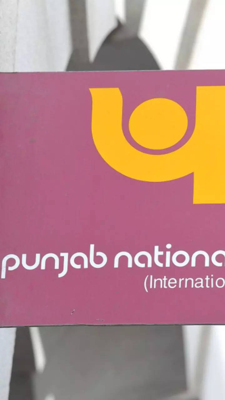 Quick and Hassle-Free Methods to Check Your PNB Account Balance