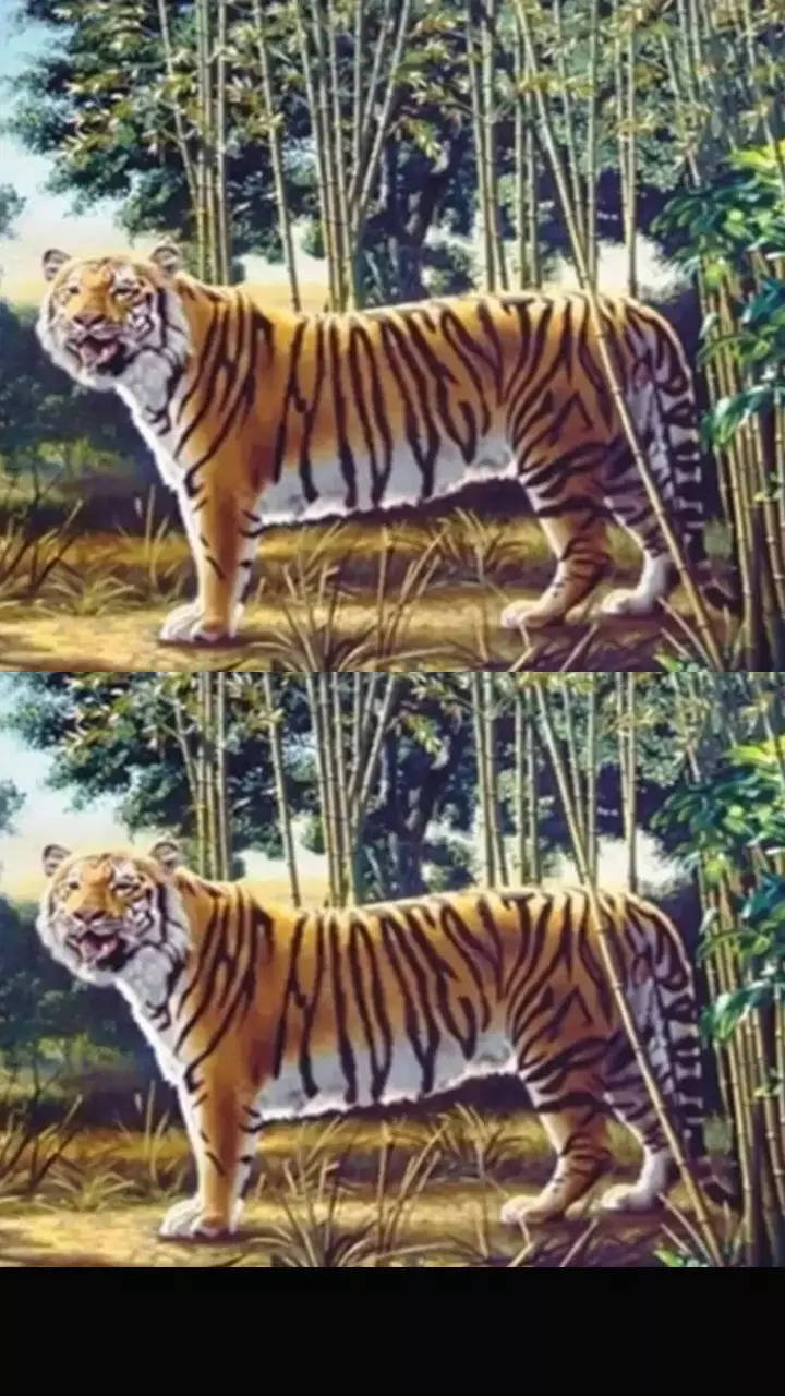This Optical Illusion Has a Revelation About Your Brain and Eyes