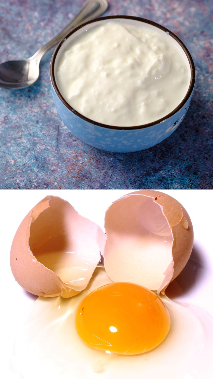 Update 152+ egg and curd hair mask latest dedaotaonec