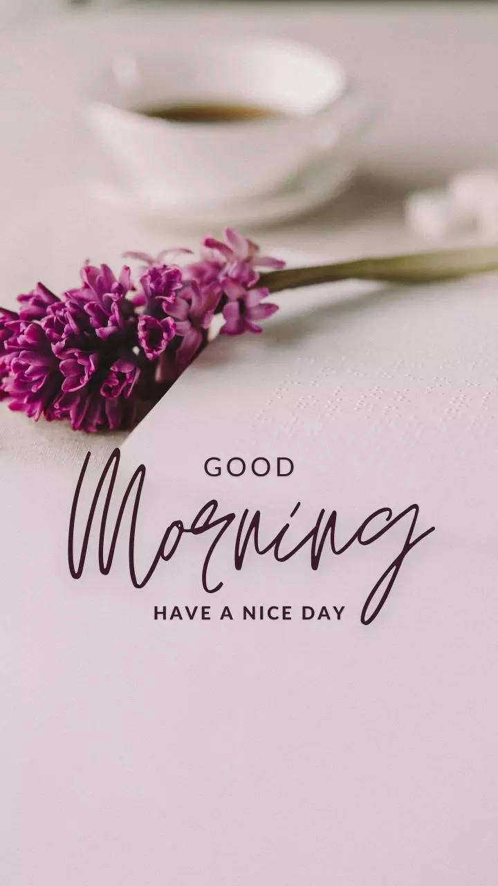 50+ New Good Morning, Quotes, Wishes, Whatsapp Status Images