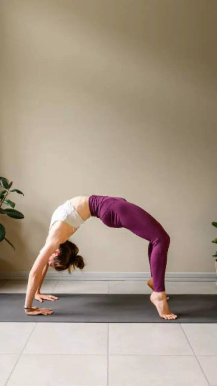 Ayurvedic Yoga ~ Yoga for your Body Type DVD – Ayurvedic Institute