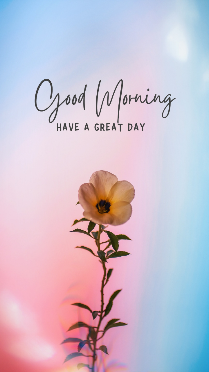 Good Morning images HD download | Good morning wallpaper, Good morning  love, Morning love