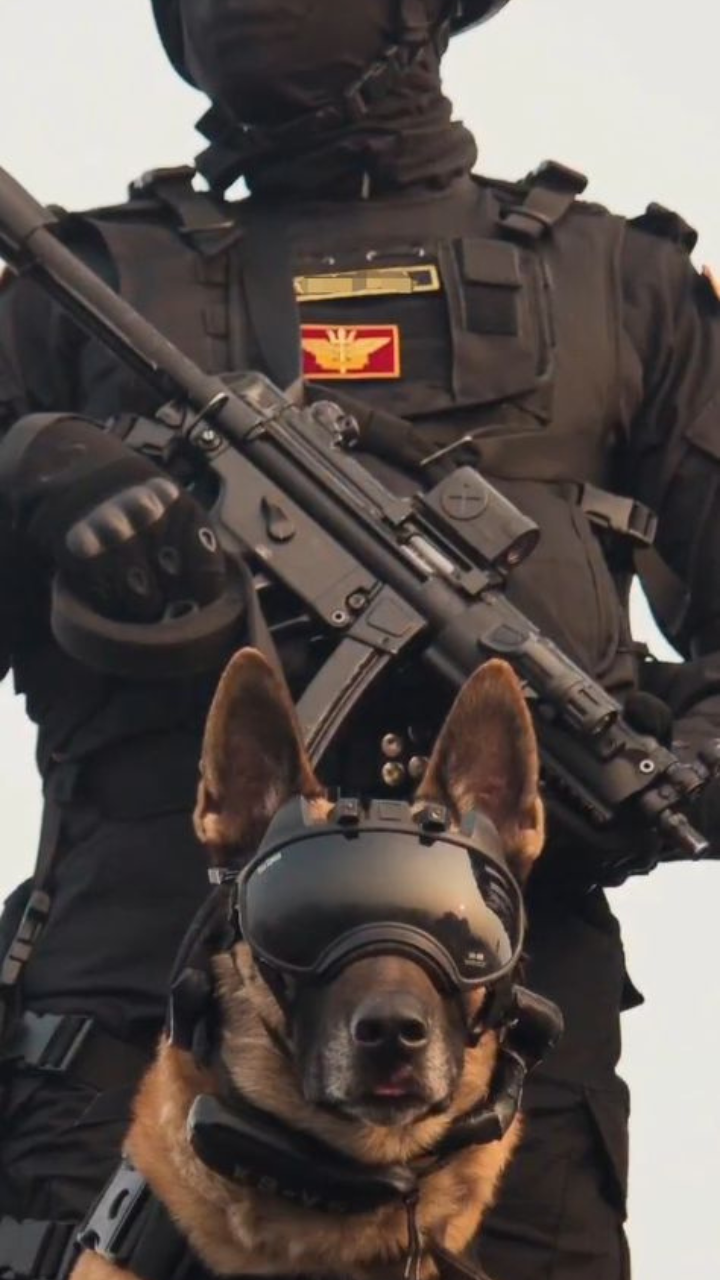 NSG Calendar 2024 Is Out, See 'The Black Cat Commandos' In Full Glory