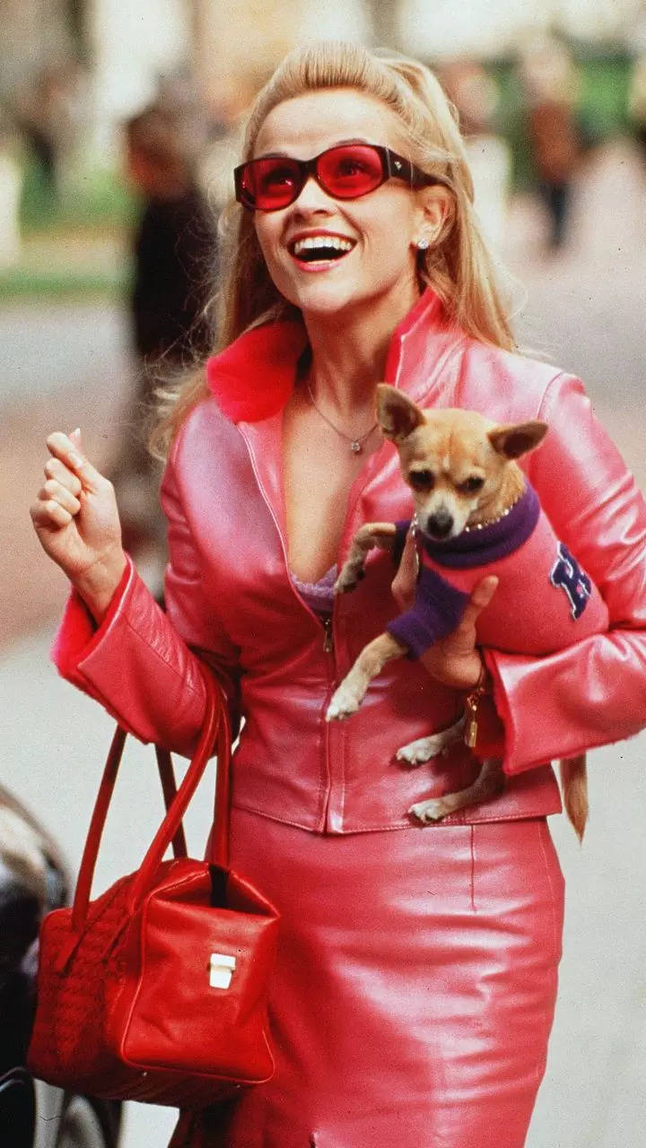 Legally Blonde 3 Coming Soon - TheGWW.com