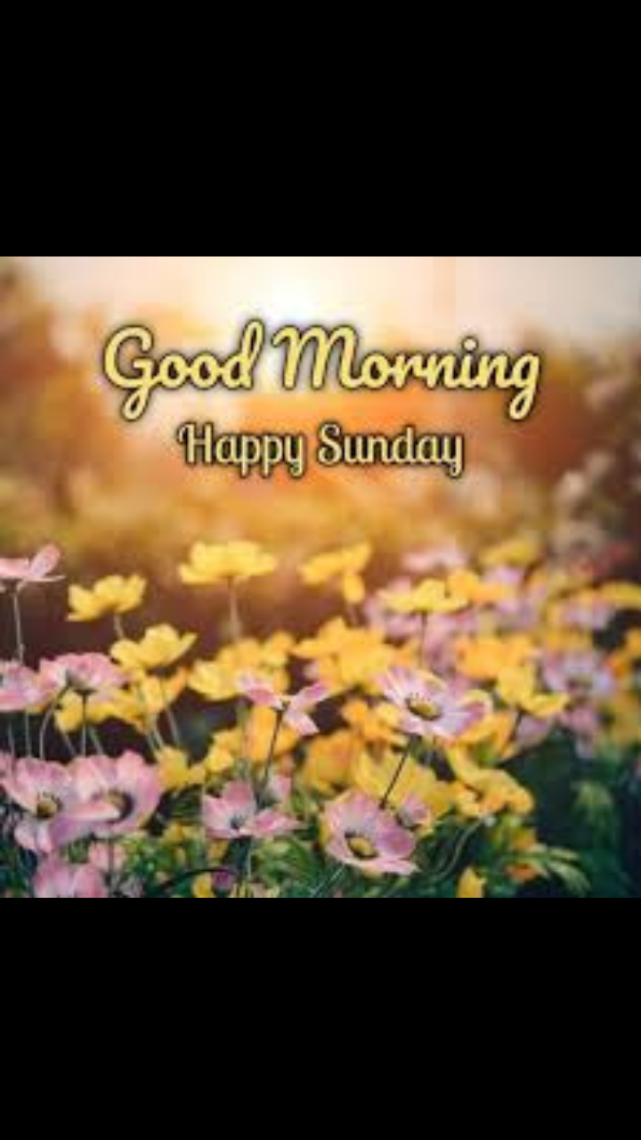 Happy Sunday good morning​ images and quotes for WhatsApp status ...