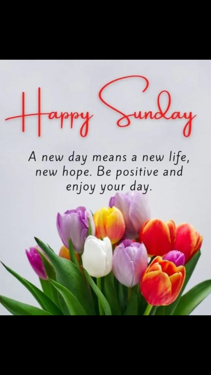 Happy Sunday good morning​ images and quotes for WhatsApp status ...