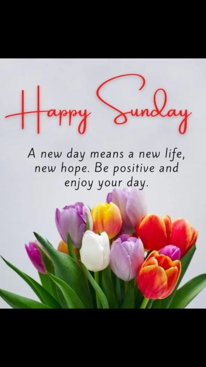 Happy Sunday Quotes Images An Incredible Collection Of Over 999