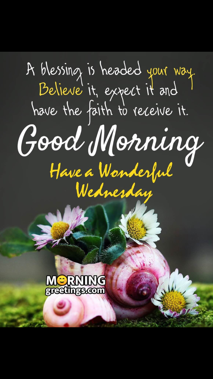 Good morning Wednesday images and quotes for WhatsApp | Times Now