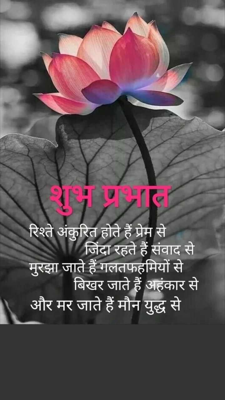 Good morning WhatsApp message Hindi | Good morning images, quotes ...