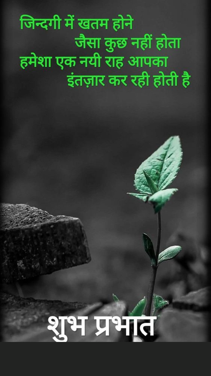 good evening images with quotes in hindi