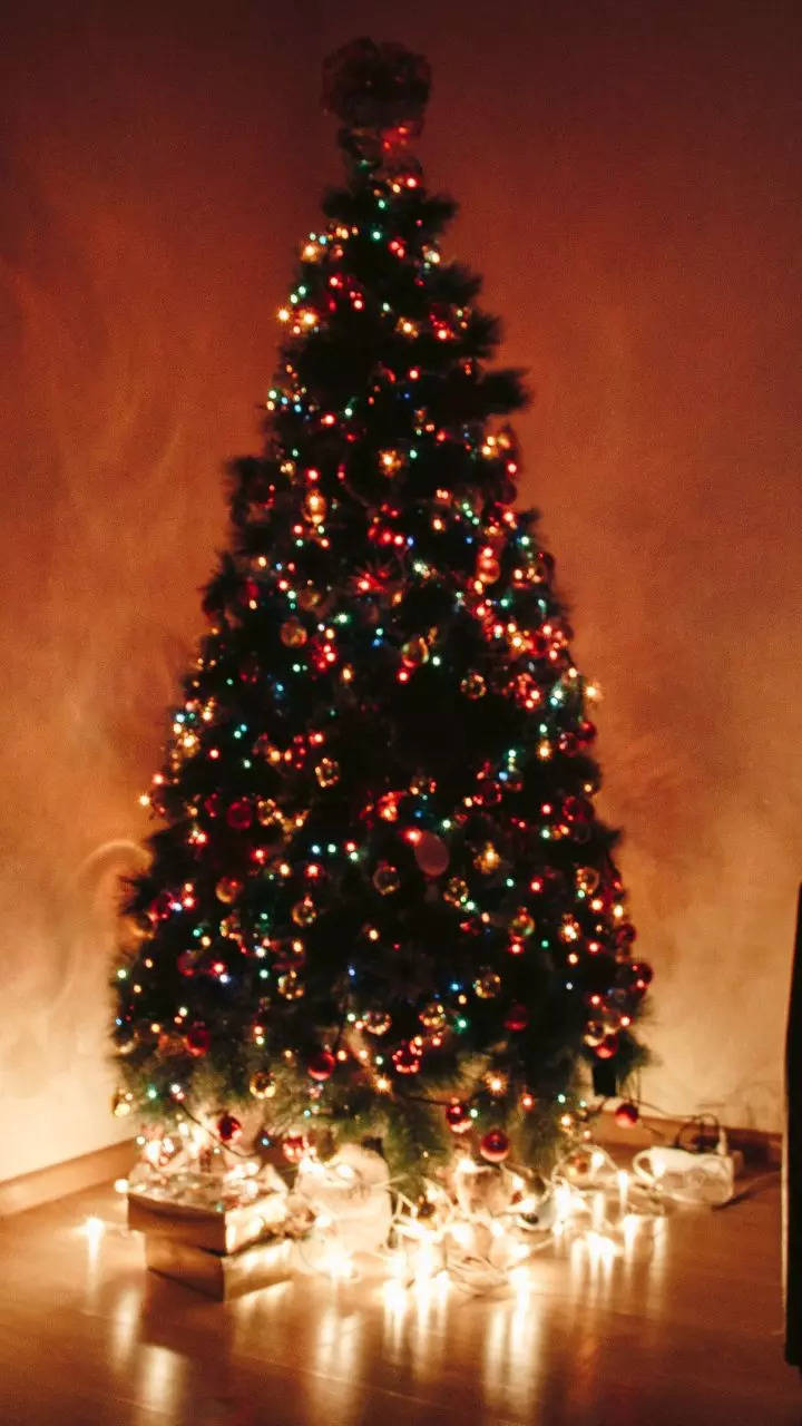 100 Heartwarming Christmas Quotes to Brighten Your Holiday Season"