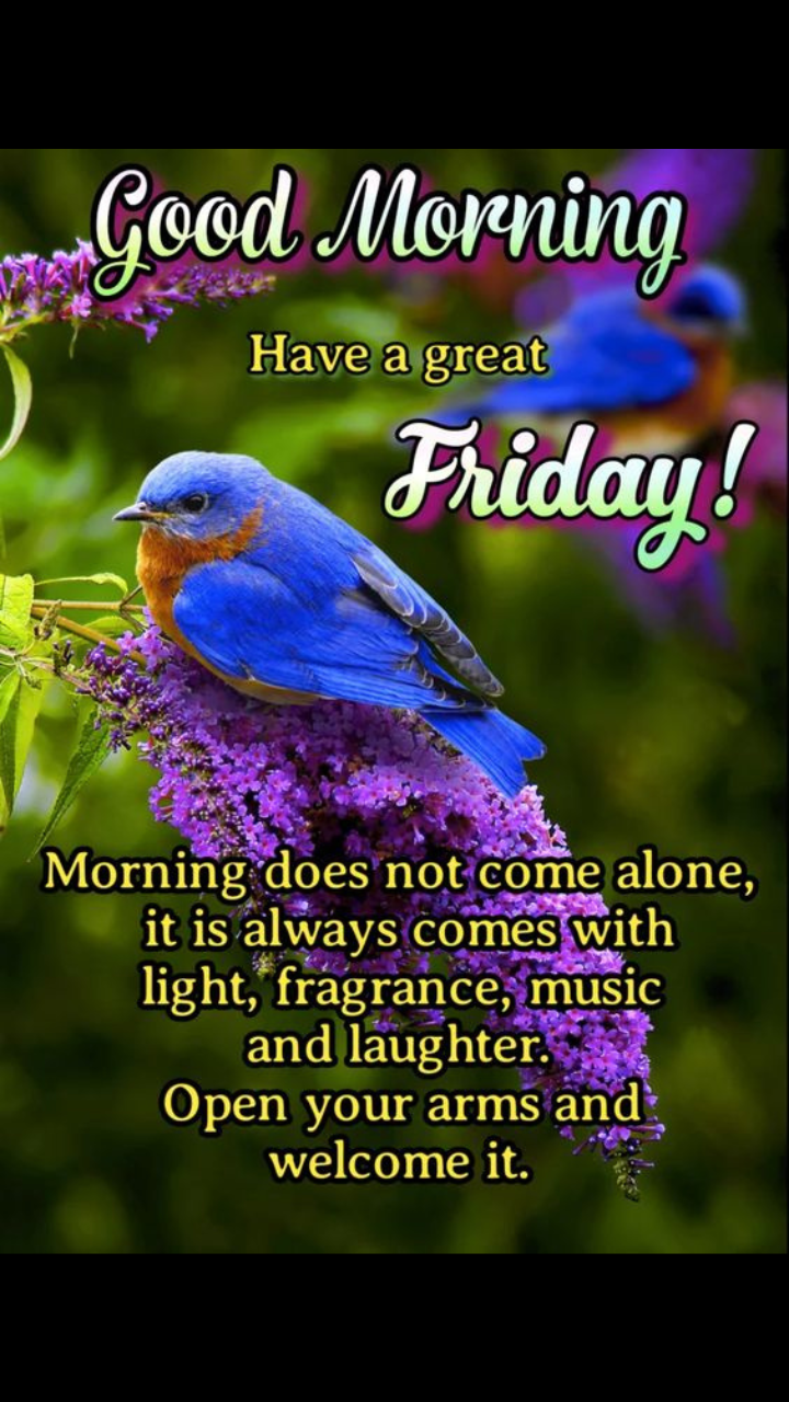 Friday morning | Have a great Friday and wonderful weekend quotes ...