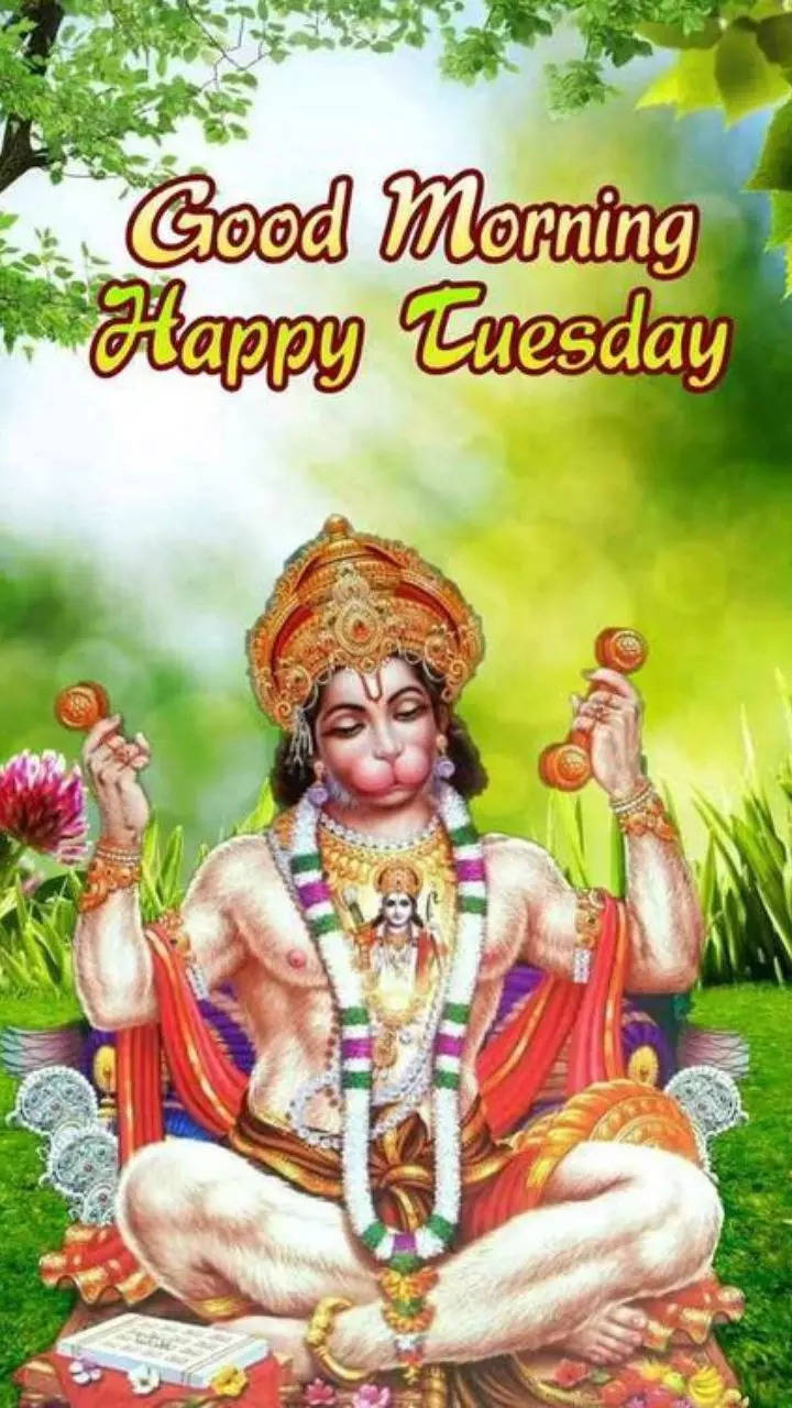 Tuesday Good morning wishes images with Quotes- 10 January God photos,  messages and shayari for happy Tuesday | Times Now