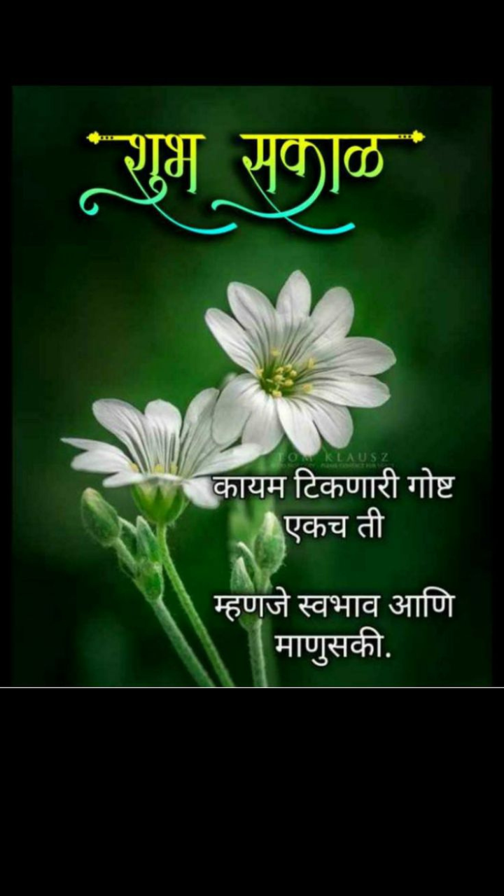 Good morning quotes and images in Marathi | Times Now