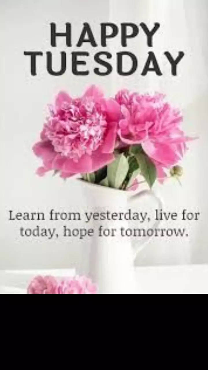 Happy Tuesday Quotes, Tuesday Quotes - wishes1234