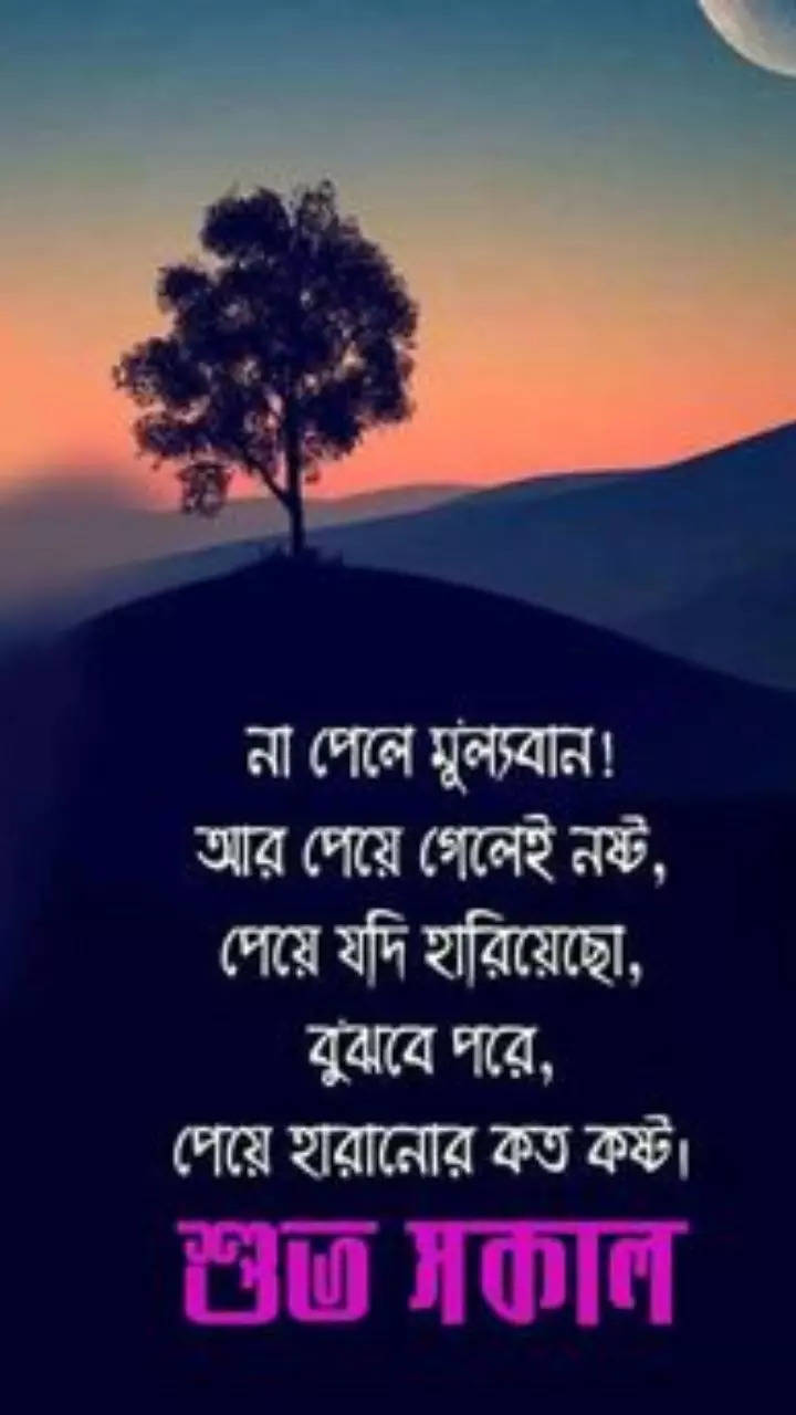 Good morning quotes, images and messages in Bengali | Times Now