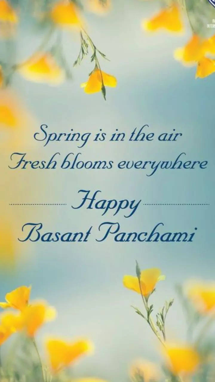 Basant Panchami images | Happy Basant Panchami 2023 images with quotes,  GIF, HD photos, cards and wallpapers | Times Now
