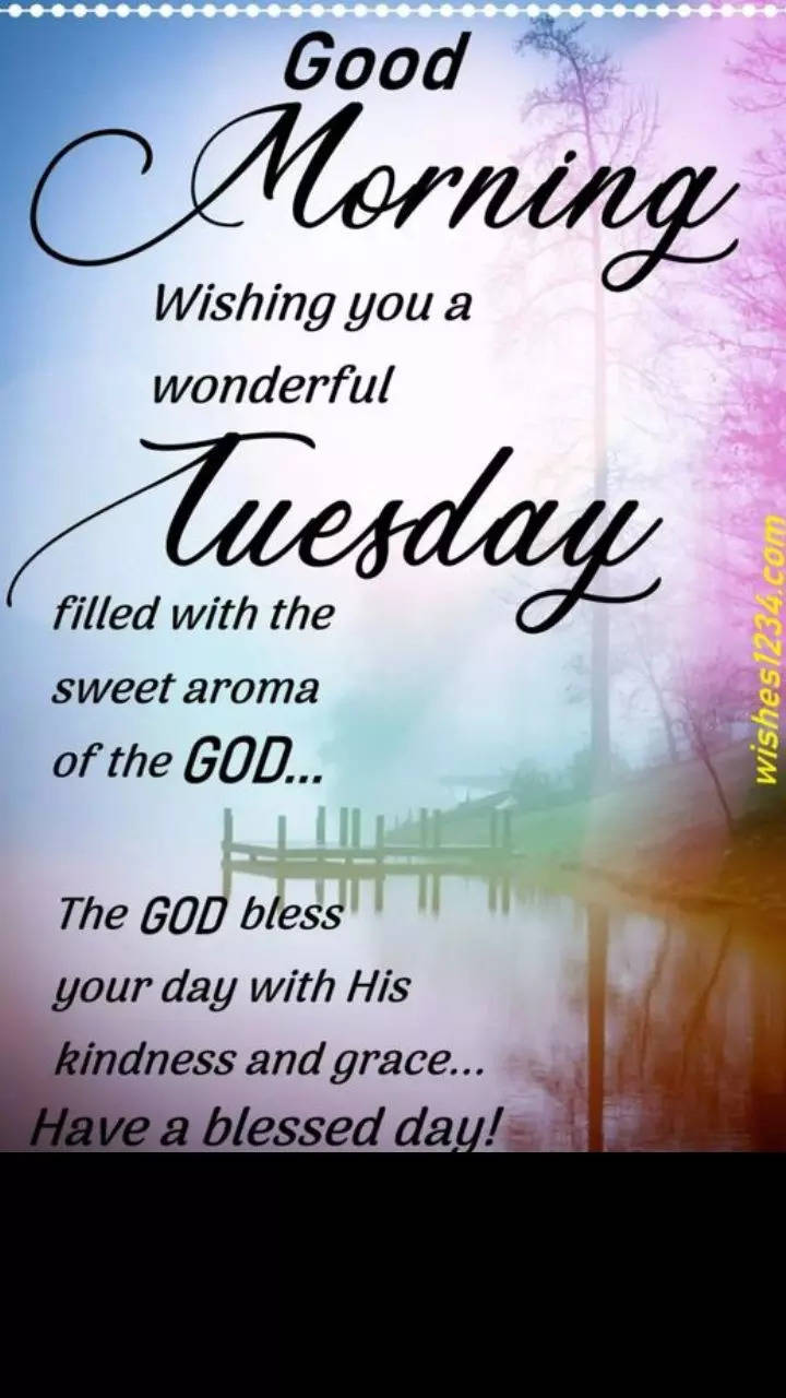 Good morning Tuesday in 2023  Good morning tuesday, Tuesday quotes good  morning, Good morning tuesday images