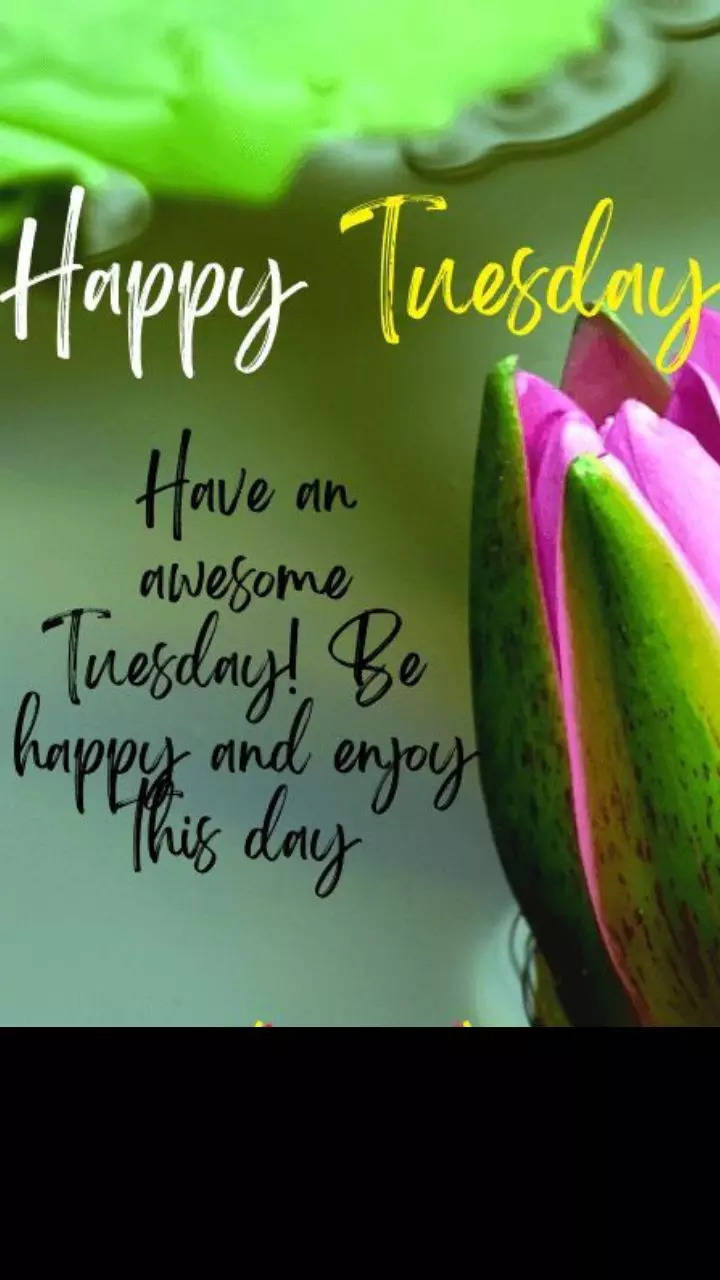 Tuesday morning | Good Morning Happy Tuesday: Wishes, images and ...