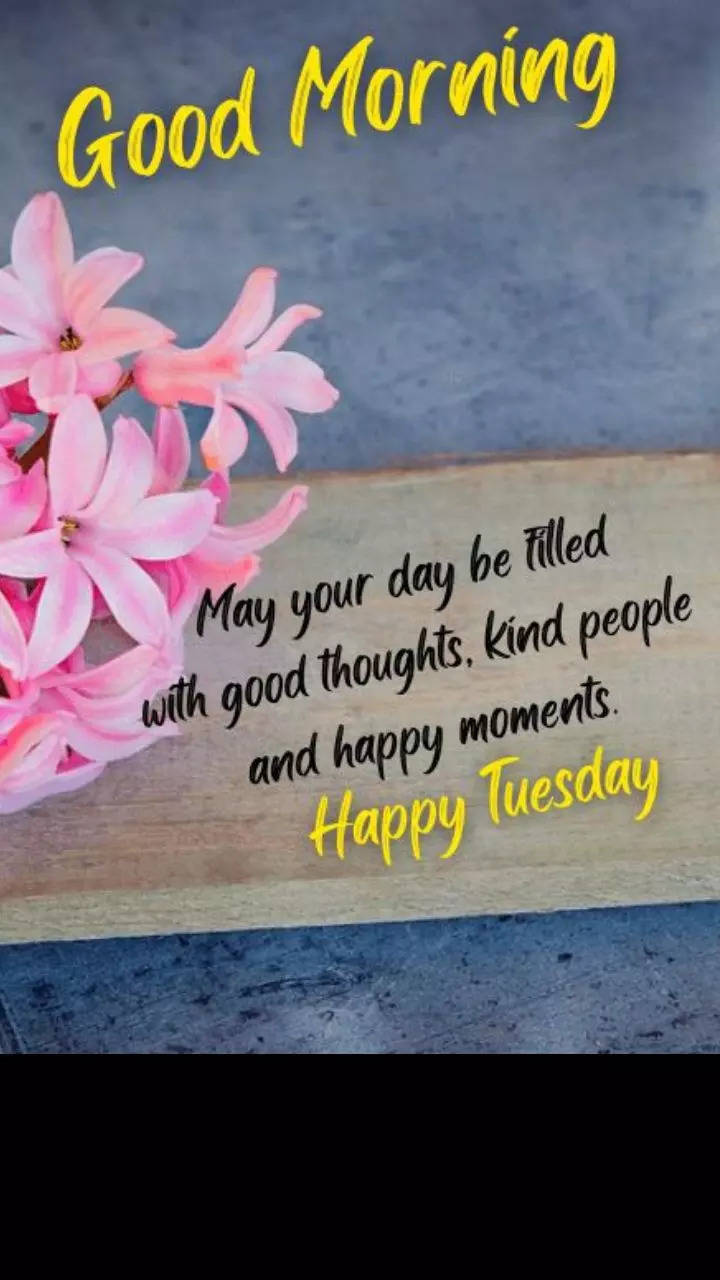 Happy Tuesday Quotes, Tuesday Quotes - wishes1234