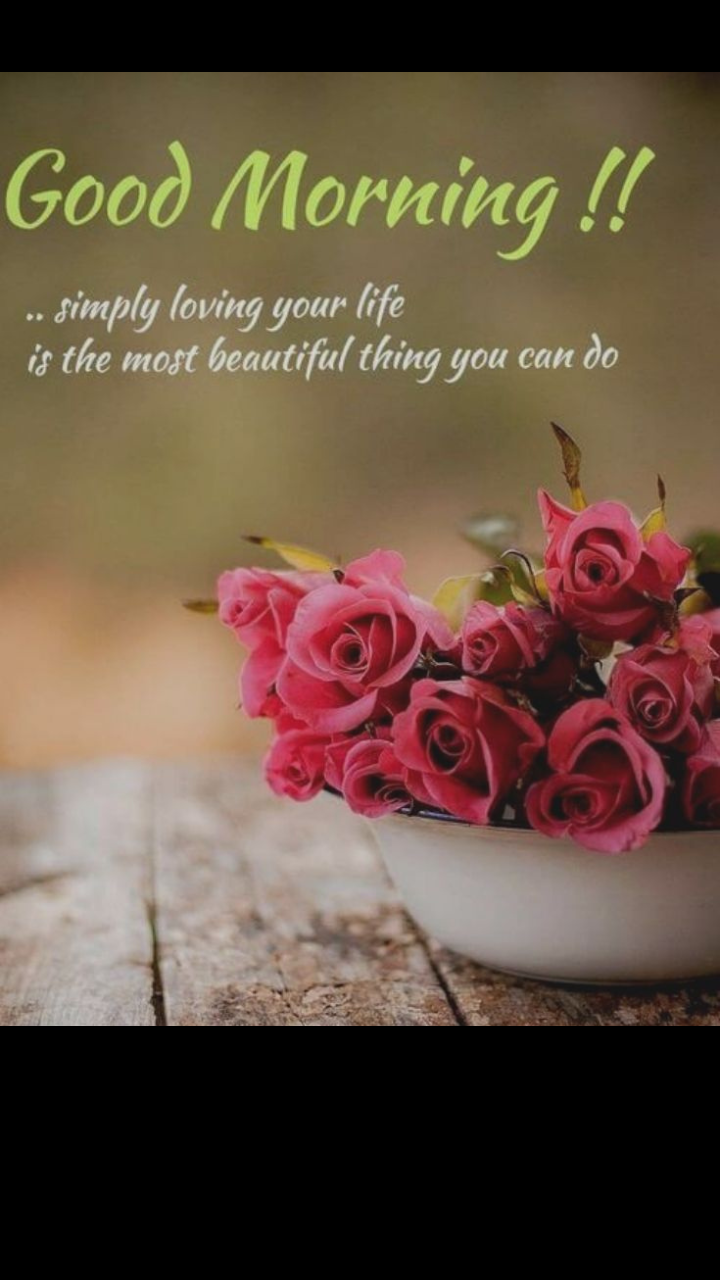 Positive Good Morning quotes and wishes with Rose images | Times Now