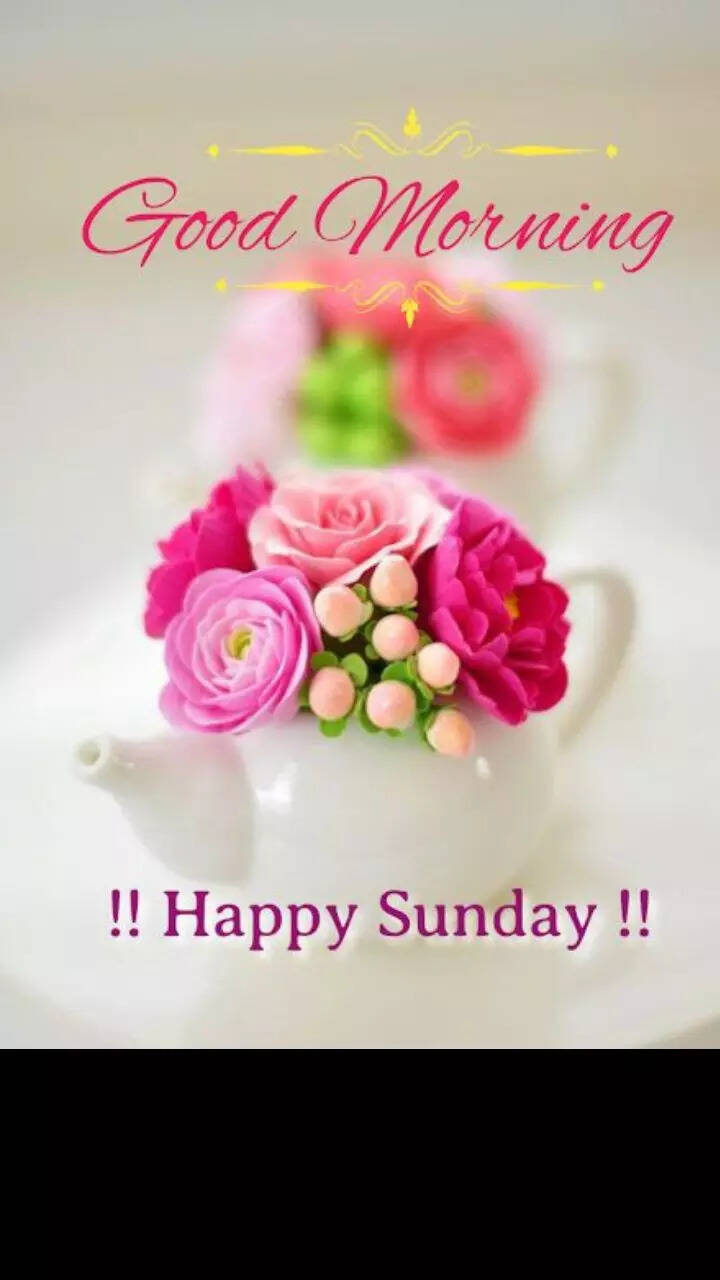 Good Morning Happy Sunday: Positive And Inspiring Quotes To Share On  Whatsapp | Times Now