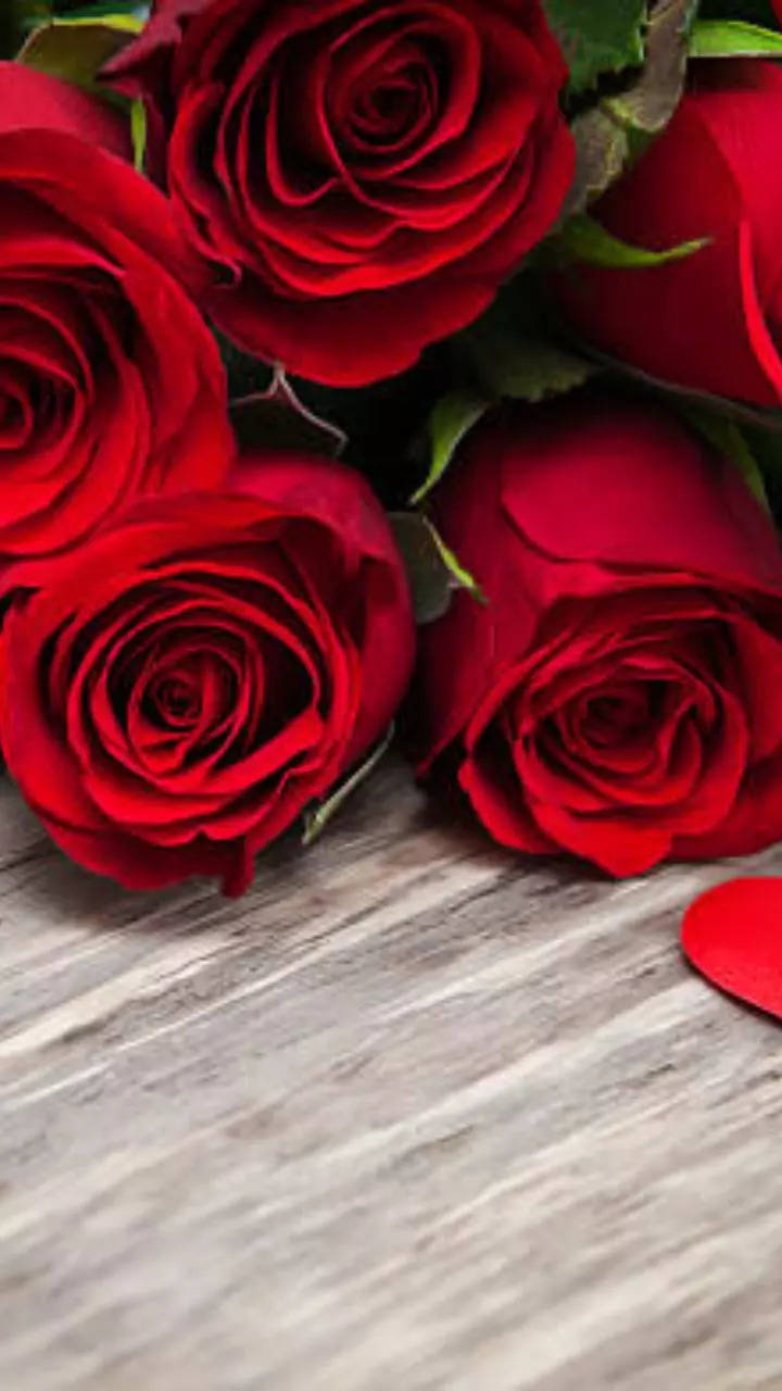Happy Rose Day Wishes: Spiritual Love Quotes & Images on Rose Day | Times  Now