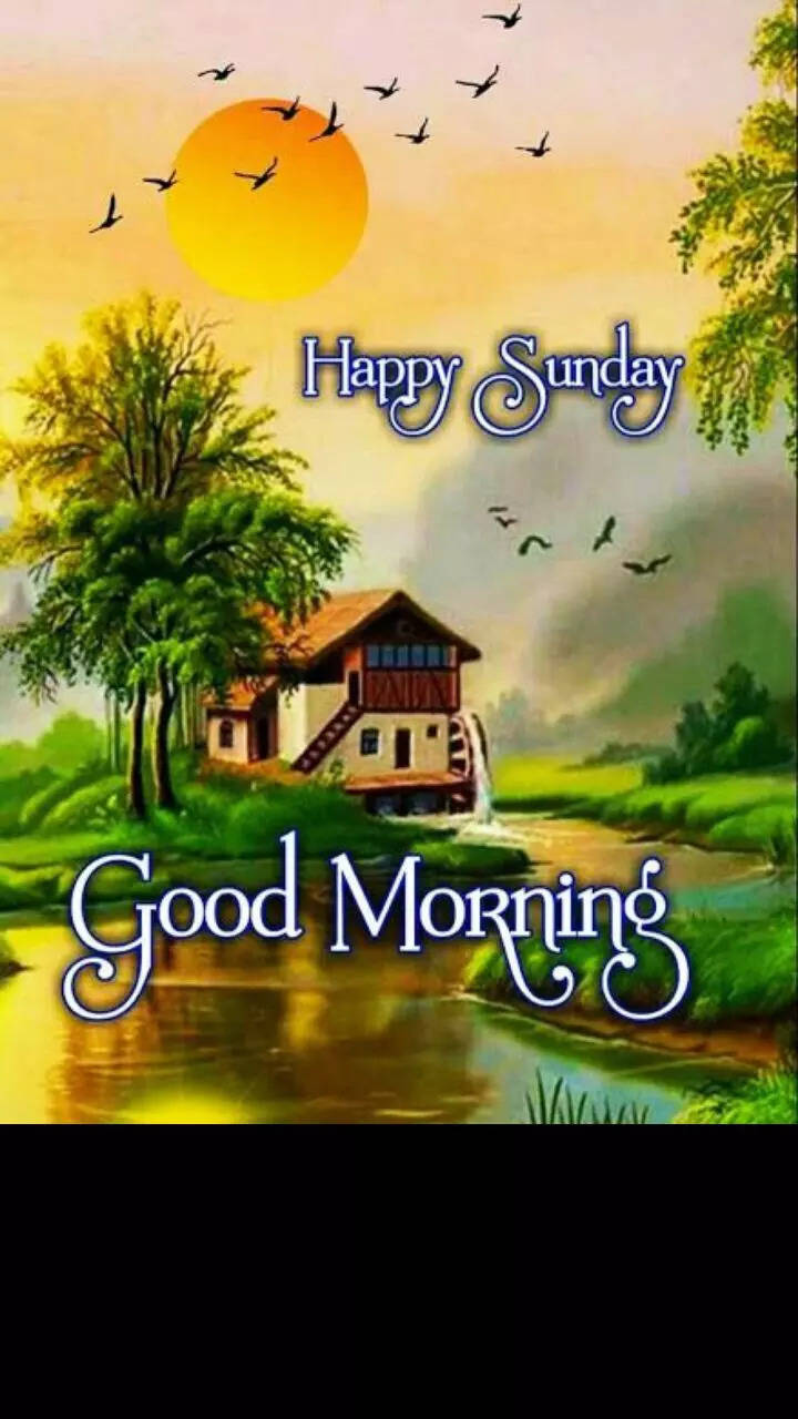Good morning Sunday wishes, quotes and images for WhatsApp | Times Now