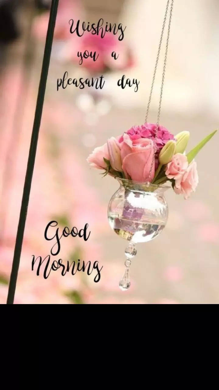 Beautiful Good Morning Tuesday Images with Quotes and Wishes