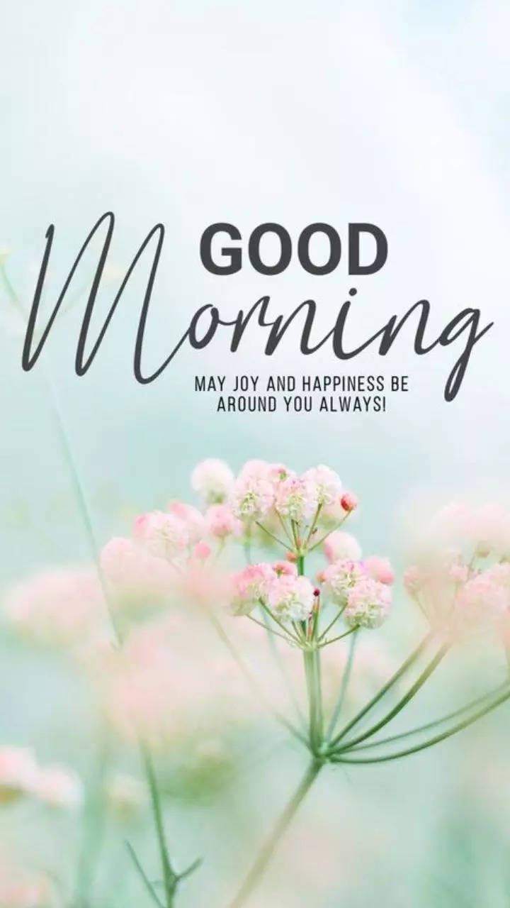 Good morning Tuesday Wishes, Quotes and Images for WhatsApp | Times Now
