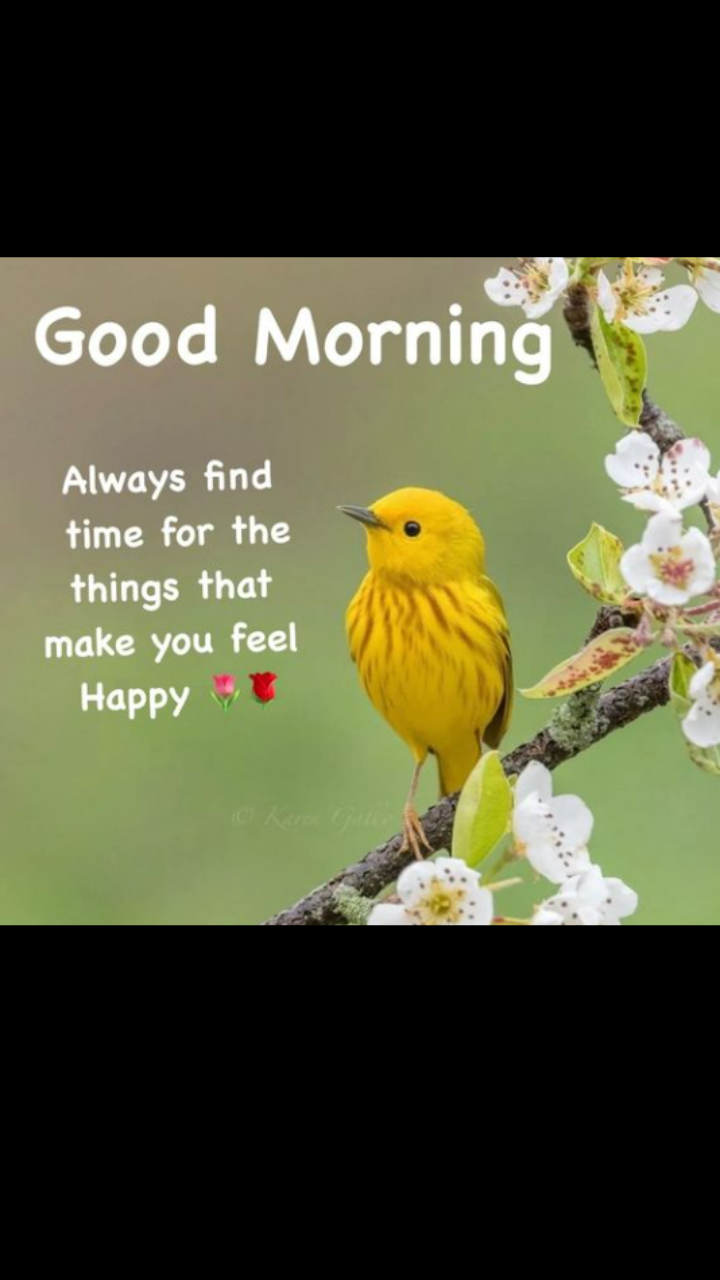 Good morning images and positive thoughts to send on ShareChat to ...