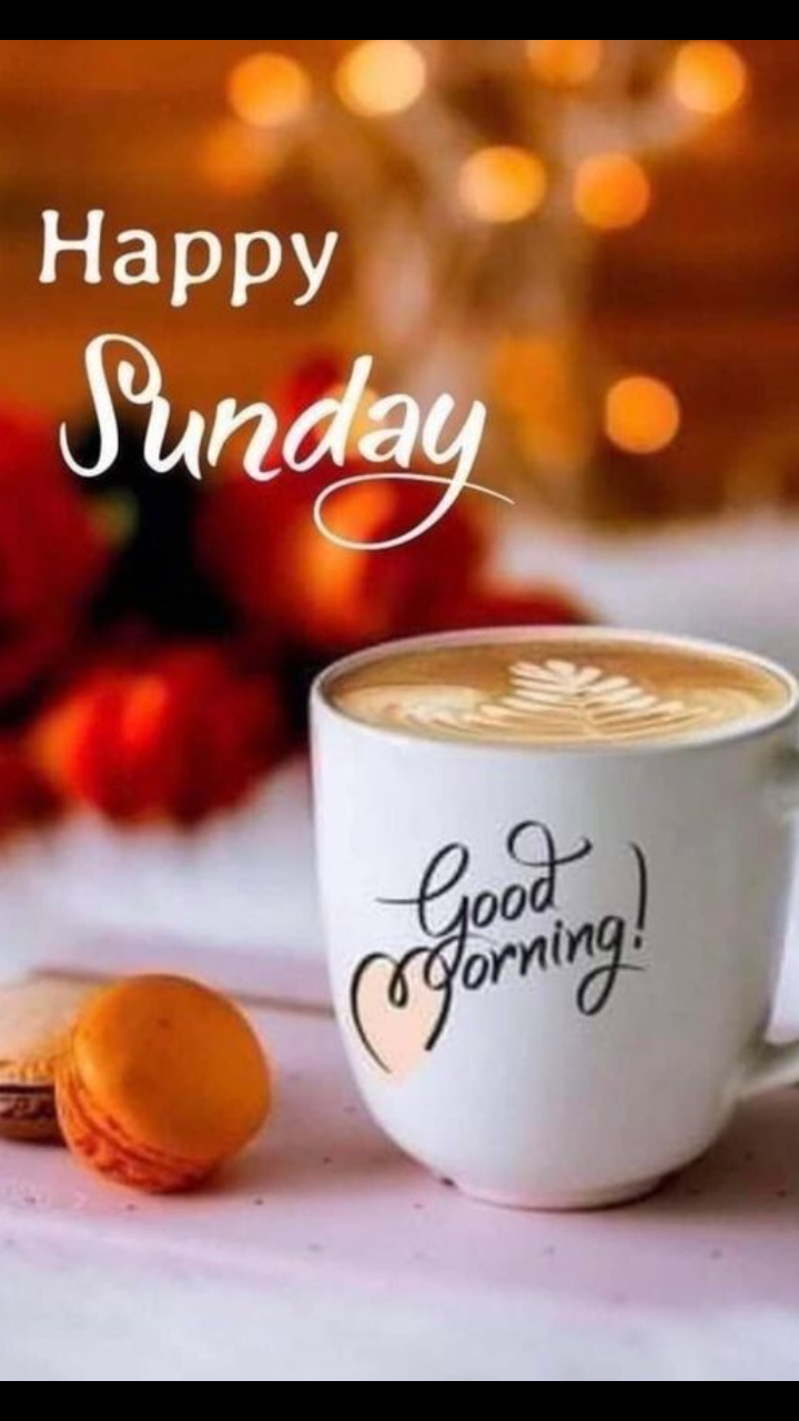 Collection of Over 999 High-Quality Good Morning Happy Sunday HD Images ...