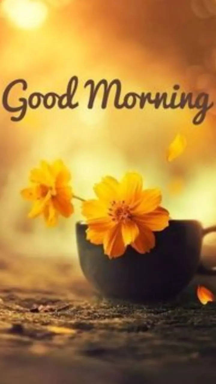 Good Morning Monday Images and Quotes for WhatsApp | Times Now
