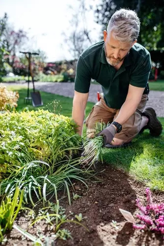 Gardening