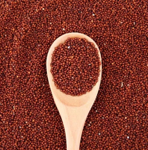 Ragi