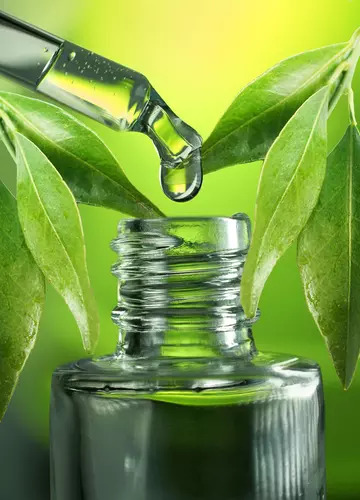 Eucalyptus oil