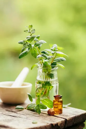 Peppermint oil 