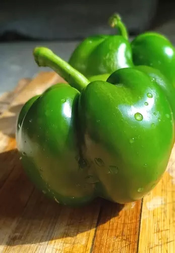 Capsicum