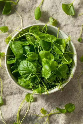 Watercress