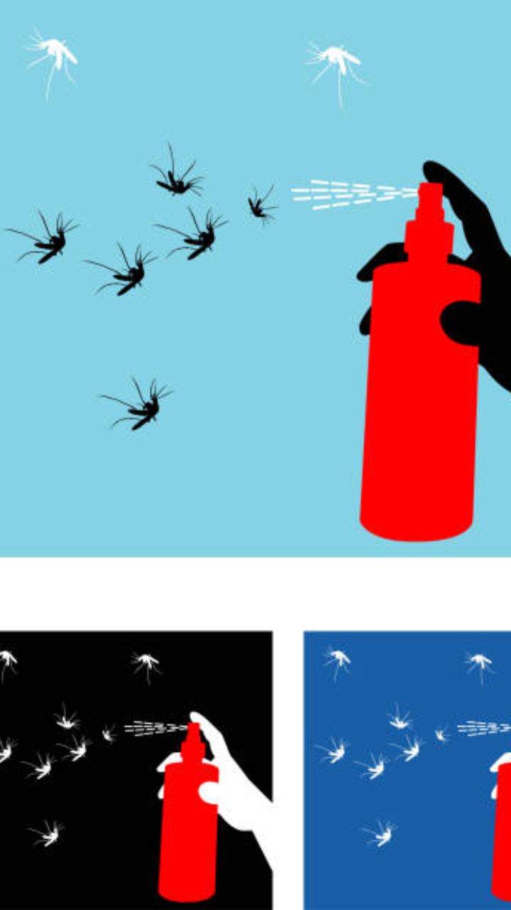 Mosquito Spray 