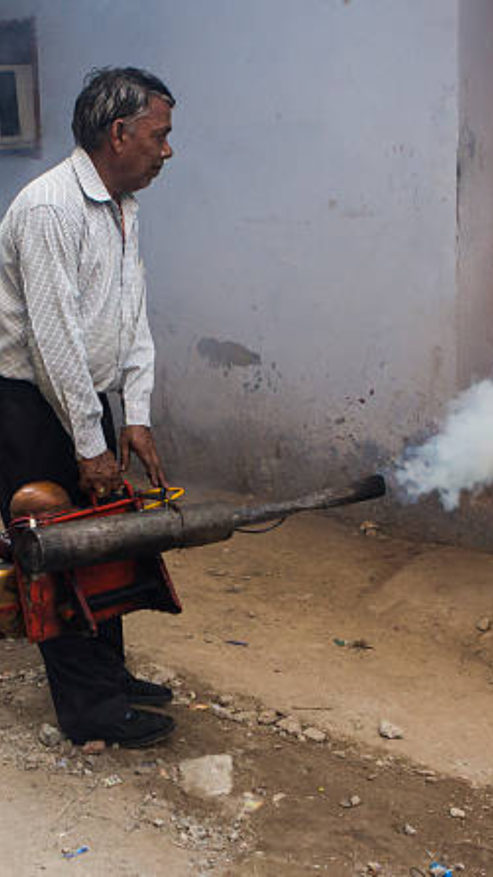 Fogging can help in preventing dengue