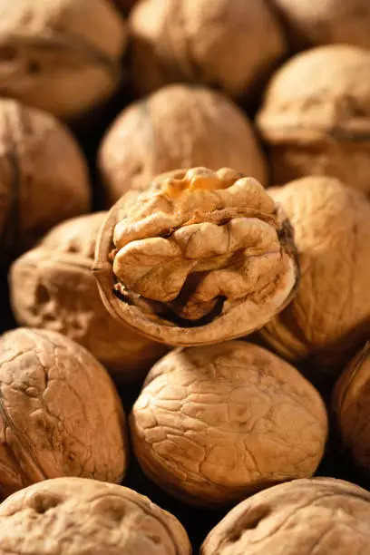 Walnuts