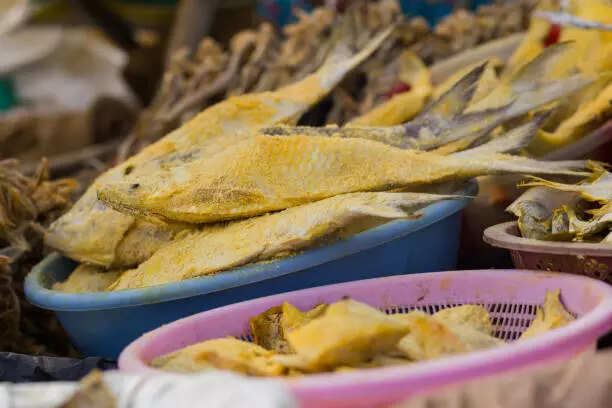 How Hilsa or Ilish- The Most Revered Fish in India - Gets Its Sweetness ...