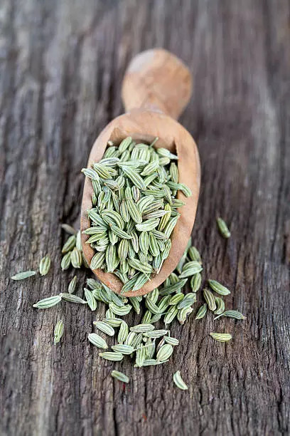 Fennel seeds