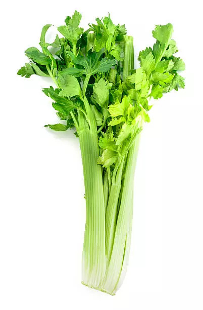 Celery