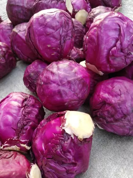 Red cabbage