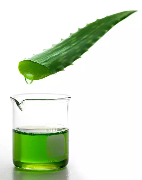 Aloe vera neem juice